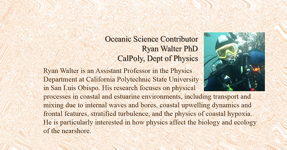 Ryan Walter_Bio