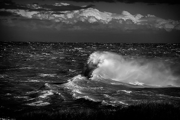 DaltonPortella_Noreaster