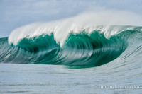 Tim McKenna 1