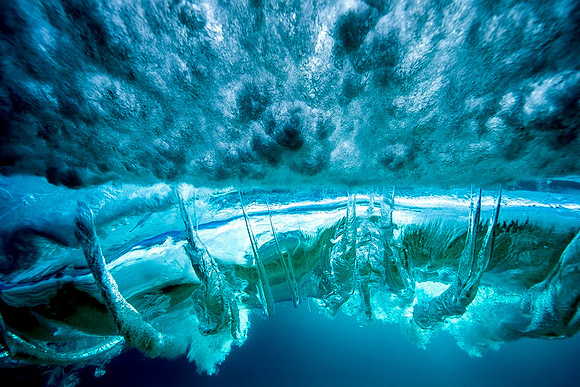 Sean Scott 2057 Wobbly Wave