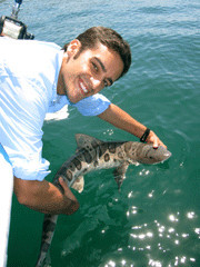 Andy