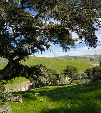 JALAMA  R OAD GULGE