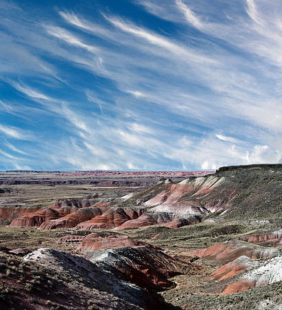 PETRIFIED FOREST STUDY FIVE