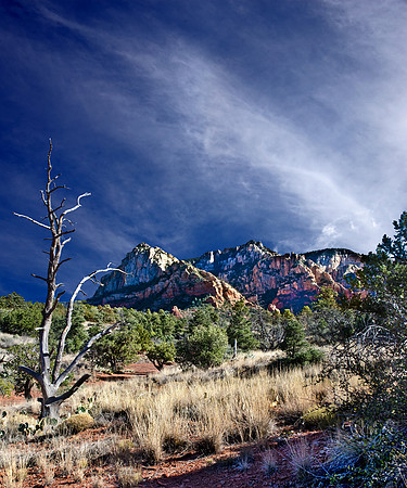 SEDONA STUDY FOURTEEN