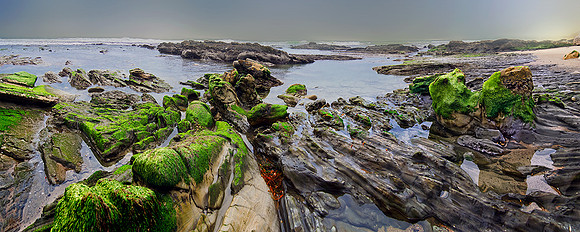 JALAMA LOW TIDE