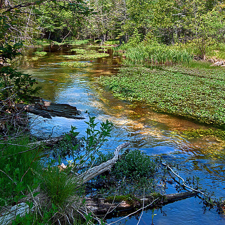 OTTER CREEK