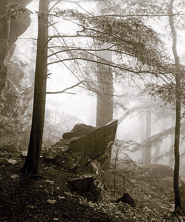 HEMLOCK & BOULDER TWO