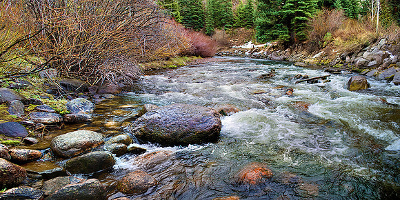 COLORADO SPRING