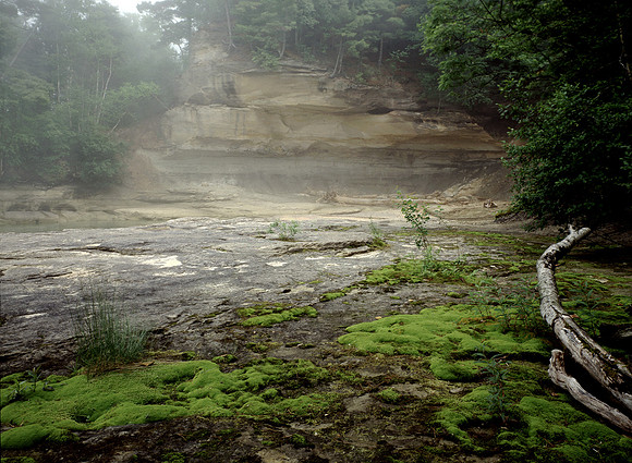 MOSS COVE