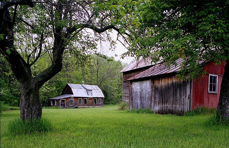 OLD HOMESTEAD