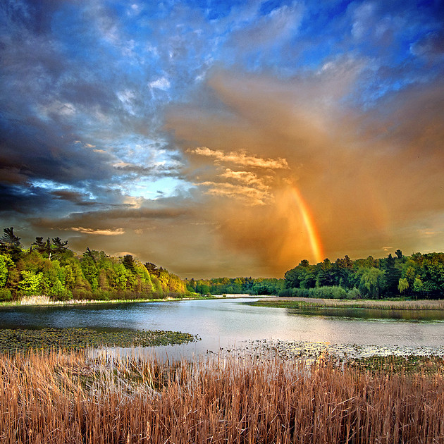 0002 PIGEON CREEK RAINBOW  2