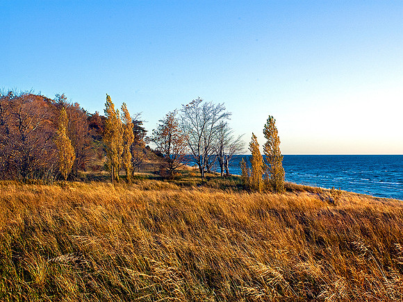 LAKE MICHIGAN AMBER