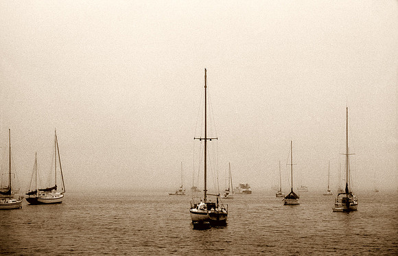 SARASOTA BAY FOG