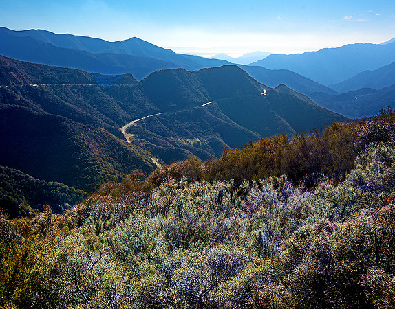 LOS PADRES