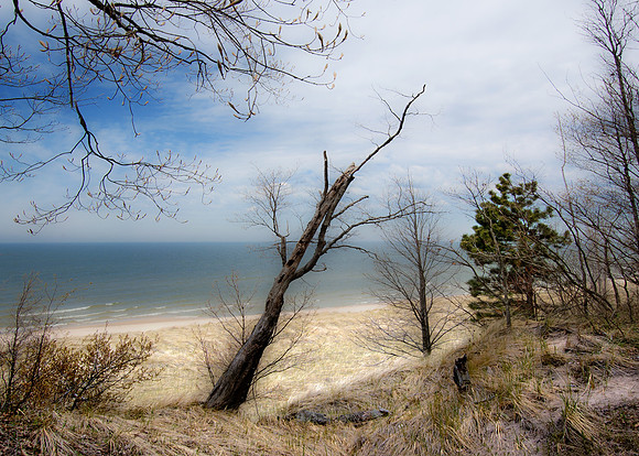 MINERT SHORE