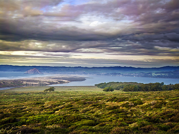 MONTANA DE ORO