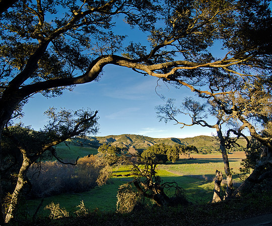JALAMA PASTURE