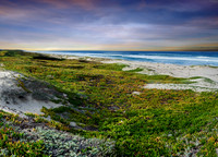 SURF BEACH