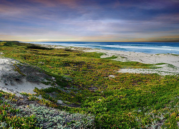 SURF BEACH