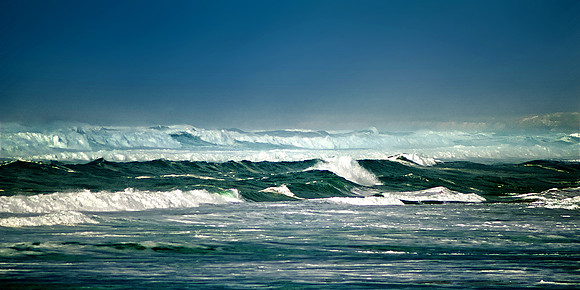 SURF BEACH WAVE
