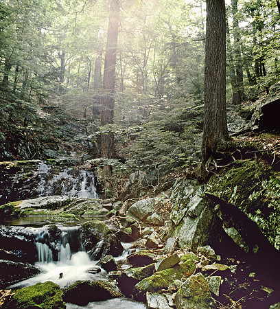 VIRGINIA FALLS