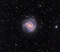 M83