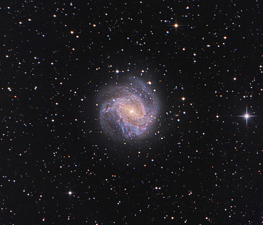 M83
