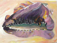 Abaco-Helmet-Shell