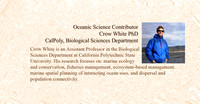 Crow White bio