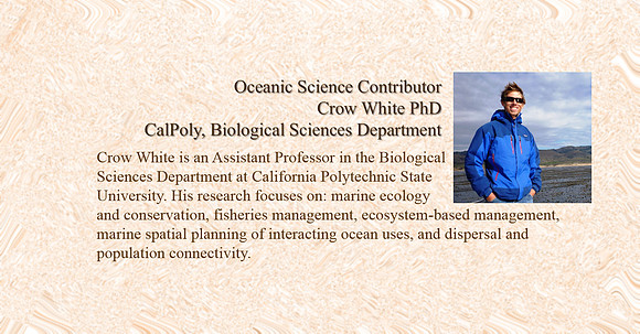 Crow White bio