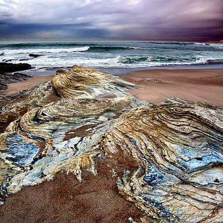 Central Coast Shoreline
