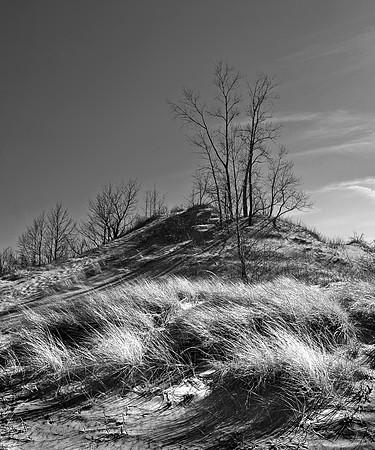 Warren Woods State Park