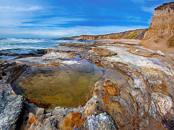 Central Coast Tide Pool