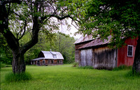 OLD HOMESTEAD