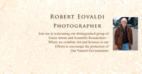 Bob's Powerpoint slide  MAIN HOME PAGE