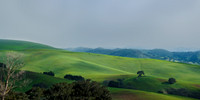 PASTURE
