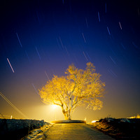 Kwon, O Chul