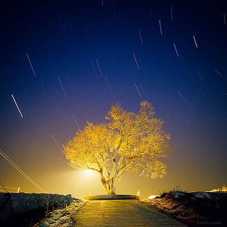 Kwon, O Chul