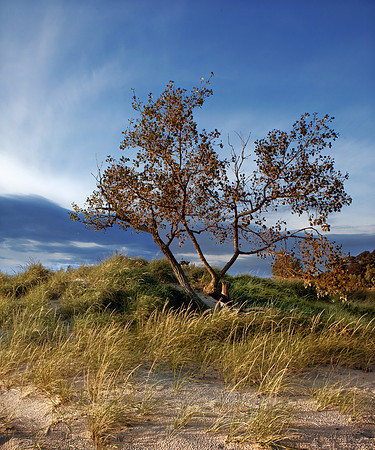 Holland State Park