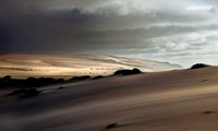 GUADALUPE DUNES  THREE