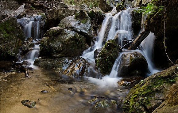 Limekiln State Park - Big Sur
