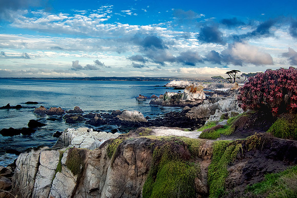 Monterey Bay, California