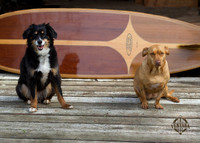 Ventana Surfboards