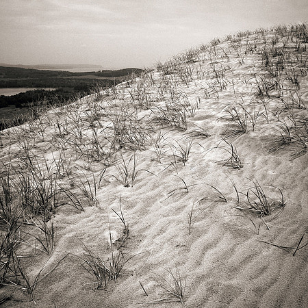 Michigan Dunes