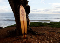 Ventana Surfboards
