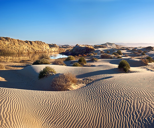 Pismo Dunes
