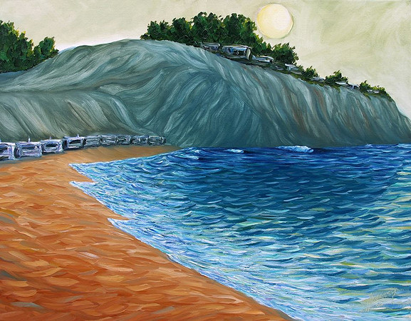 Robb Havassy
