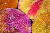 MM7618_070823__001703 F1