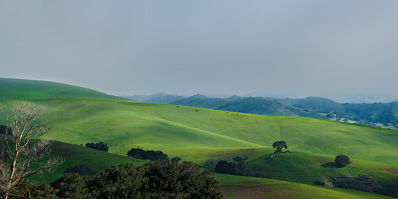 PASTURE, Road to Jalama
