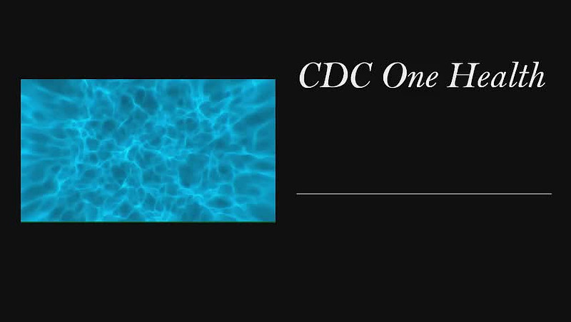 Eovaldi Art Science | CDC One Health